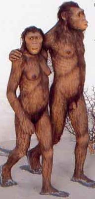 20080804231714-apeman.jpg